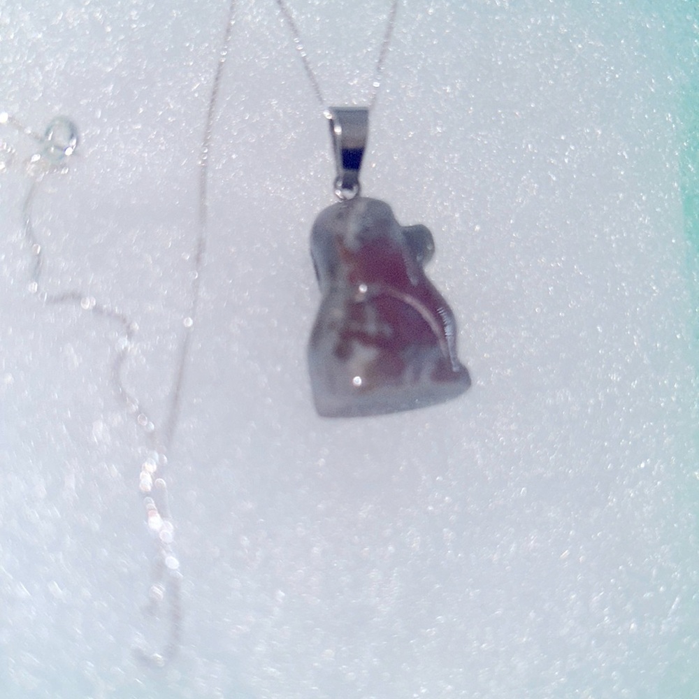 Boho Hippie Agate Dog Sterling Silver Necklace 16”